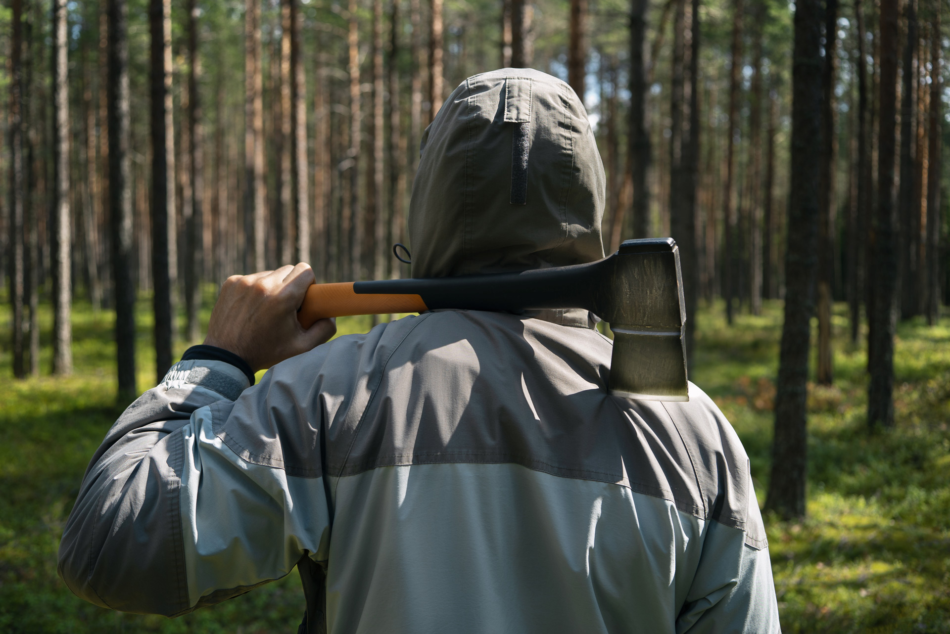 Abattage et élagage d'arbres par un bucheron