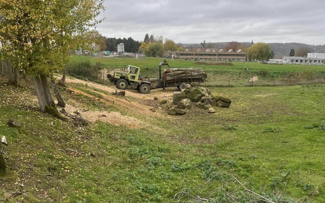 Institut-Saint-Martin