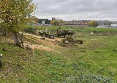 Institut-Saint-Martin